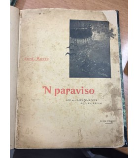 N' paraviso