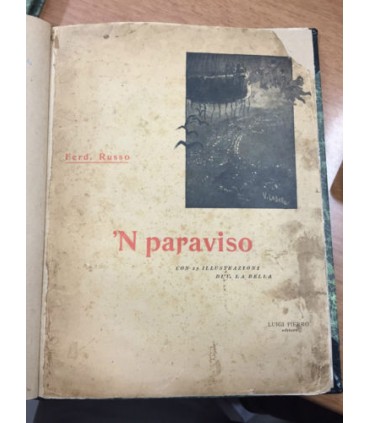 N' paraviso