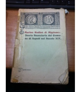 Storia finanziaria del Comune di Napoli nel Secolo XIX