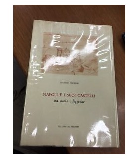 Napoli e i suoi castelli