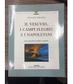 Il Vesuvio, i Campi Flegrei e i napoleatani
