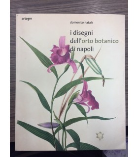 I disegni dell'orto botanico di Napoli