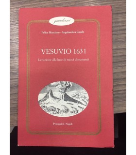 Vesuvio 1631. L'eruzione alla luce di nuovi documenti