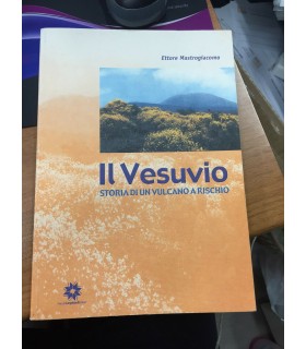Il Vesuvio. Storia di un vulcano a rischio