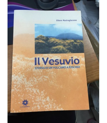 Il Vesuvio. Storia di un vulcano a rischio