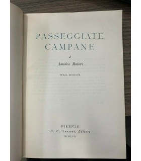 Passeggiate campane