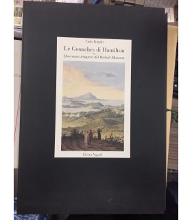 Le gouaches di Hamilton