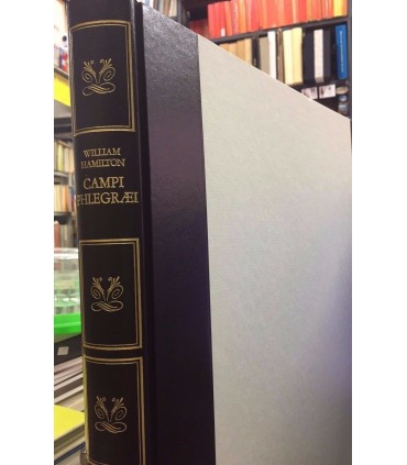 Campi Phlegraei