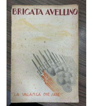 La Brigata Avellino nella grande guerra