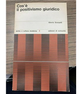 Cos'è il posivitismo giuridico