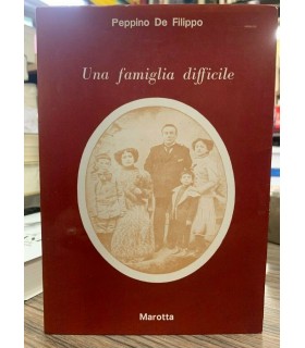 Una famiglia difficile