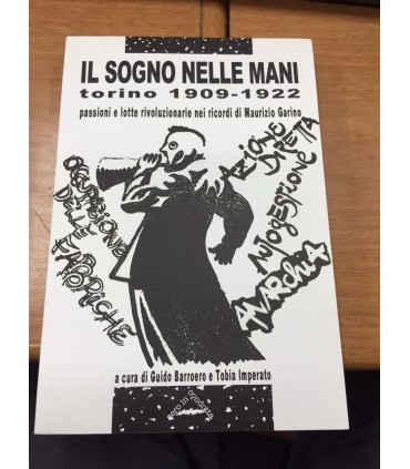 Il sogno nelle mani
