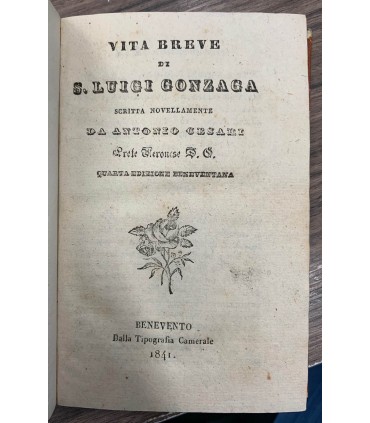 Vita breve di S. Luigi Gonzaga