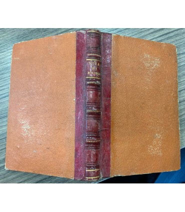 Vita breve di S. Luigi Gonzaga