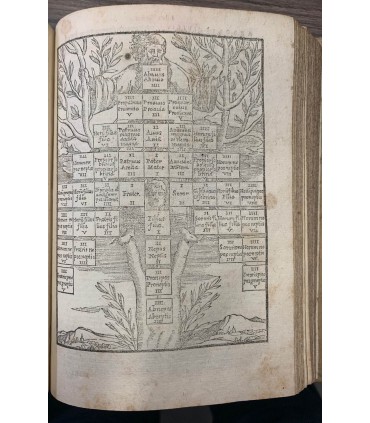 Institutiones iuris civilis