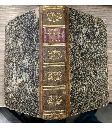 Del rinnovamento della filosofia antica italiana.  Libro uno