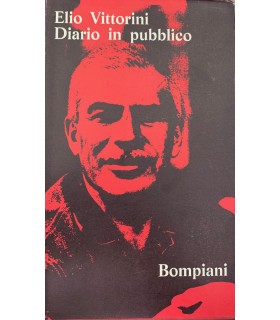 Diario in pubblico