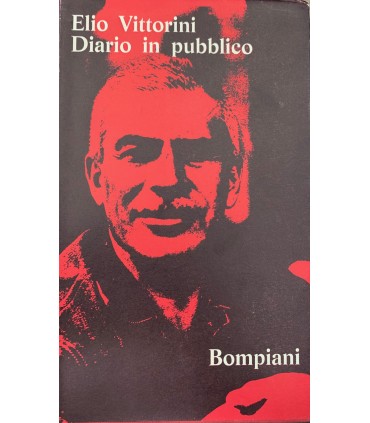 Diario in pubblico
