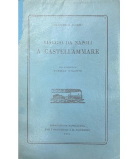 Viaggio da Napoli a Castellammare