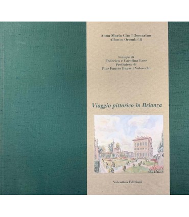 Viaggio Pittorico in Brianza