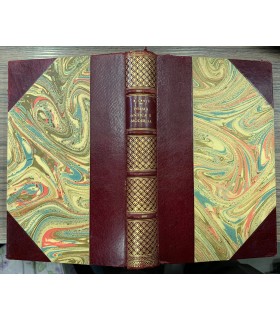 Poesia antica e moderna. Interpretazioni