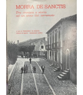 Morra De Sanctis. Tra cronaca e stroia ad un anno del terremoto