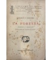 La foresta