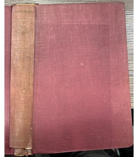 Storia della letteratura inglese.