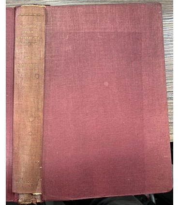Storia della letteratura inglese.