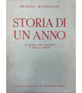 Storia di un anno