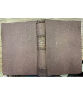 Mazzini triumviro della Repubblica romana