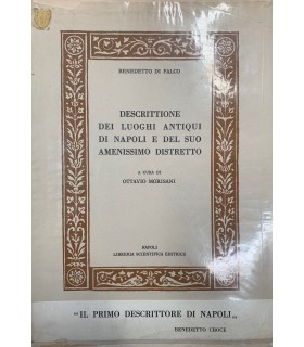 Descrittione dei luoghi antiqui di Napoli e del suo amenissimo distretto