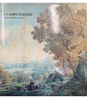 I Campi Flegrei