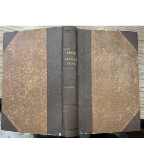 Voci e maniere di Lingua viva