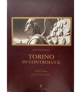 Torino in controluce