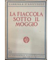 La fiaccola sotto il moggio