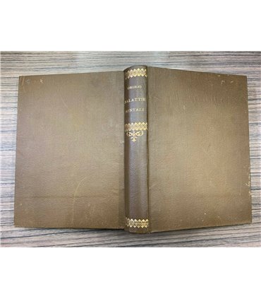 Delle malattie mentali e del governo tecnico dell'Asilo nel quinquennio 1877-1881