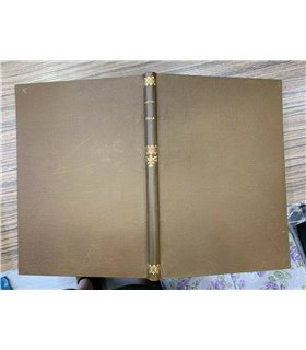 Lettere di un viaggiatore nell'India