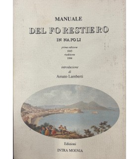 Manuale del forestiero in Napoli