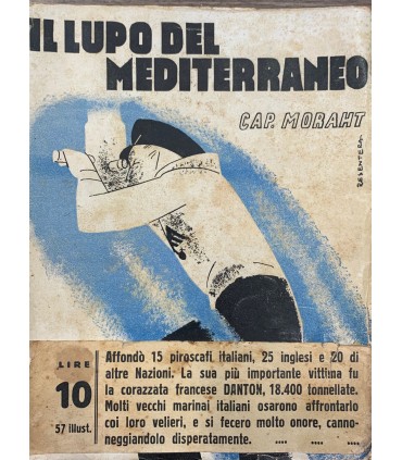 Il lupo del mediterraneo