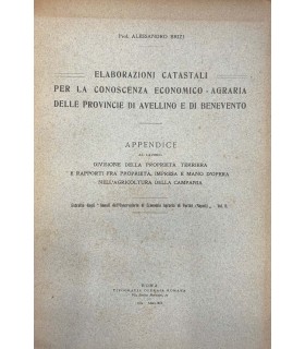 Elaborazioni catastali per la conoscenza economico - agraria delle provincie di Avellino e di Benevento