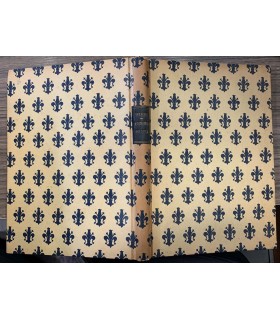 Principi di economia politica corporativa