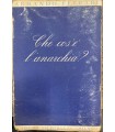 Che cos'è l'anarchia?