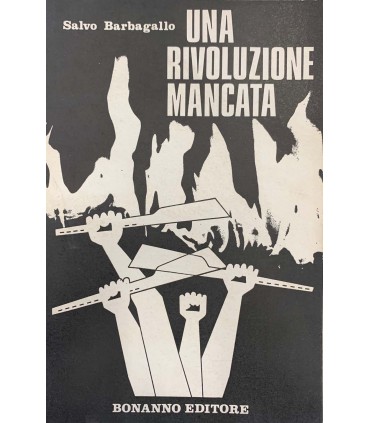 Una rivoluzione mancata