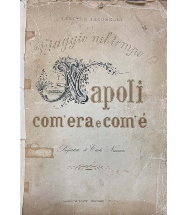 Viaggio nel tempo. Napoli com'era e com'è