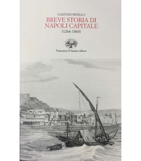 Breve storia di Napoli Capitale (1266-1860)