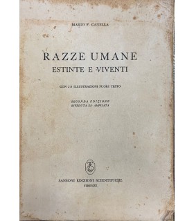 Razze umane estinte  viventi