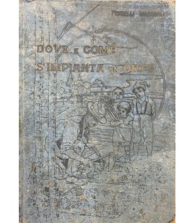 Dove e come s'impianta un orto