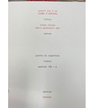 Questo non è un libro d'artista