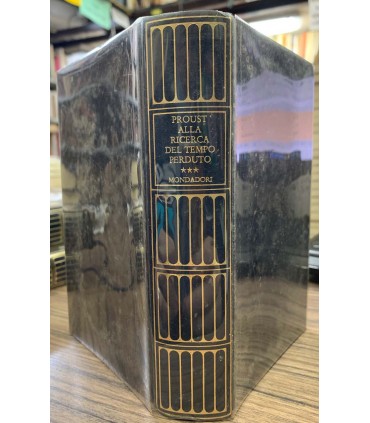 Alla ricerca del tempo perduto. Vol. 3